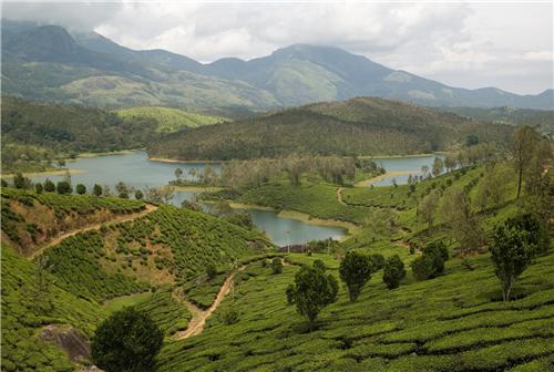 Kalvarayam Hills 